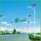 صرفه جویی در انرژی 8M قطب پنل خورشیدی چراغ های خیابانی با 40W LED تراشه Epister