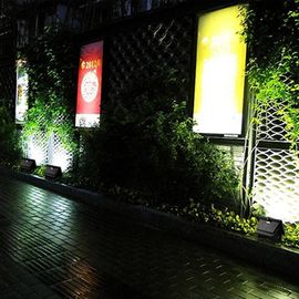 انرژی کارآمد خورشیدی LED سیل چراغ در فضای باز CE ROHS برای چشم انداز روشنایی